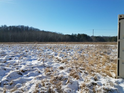 A frozen field with a thin layer of snow.